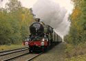 Steam Through Sutton Park 22nd October 2016