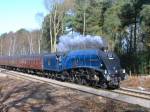 Steaming through Sutton Park