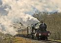 The Sun Shone As The Wind Blew On 7828 Odney Manor