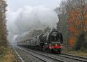 The Duchess Passing Through Sutton Park 22/11/14