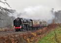 70000 Britannia With The Yuletide Borderer