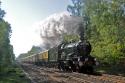 Tyseley To Scotland Via Sutton Park