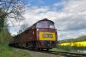 D1062 Western Courier Heading Toarley