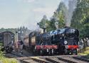 4566 & 34053 Sir Keith Park At Arley