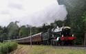 The 'pembroke Coast Express' Has Just Departed Arley-by-the-sea