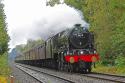 46115  Scots Guardsman On Its Return Journey Through Sutton Park