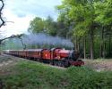 Hogwarts Express Through Sutton Park Today