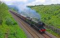 Scotsman Heading Away From Evesham