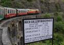 Halfway Through Our 5 Hour Journey On The Kalka To Shimla 'toy Train'