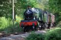 7812 Erlestoke Manor Heads Out Of The Woods