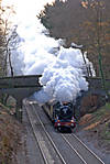 Rood Ashton Hall Farewell
