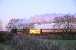 Mayflower on the Battlefield line