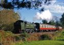 Gwr Large Prairie Tank 5164 In The Autumn Sun