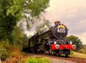 The King Heads For Arley