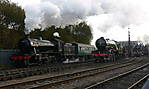 LNER lineup at Barrow Hill