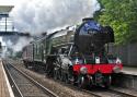 Fling Scotsman Steams Through The Hawthorns Station.