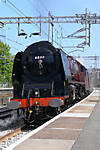 The Duchess at Lichfield Trent Valley