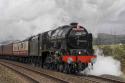 46100 Royal Scot
