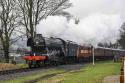 Scotsman`s Return