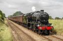 48151 - Fellsman