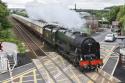 46100 Royal Scot