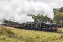 Guests At K&wvr