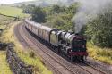 46115 On The Waverley