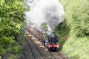 Scots Guardsman On A Cme