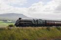 60009 Selside