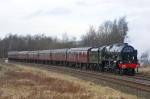 46115 "Scots Guardsman"