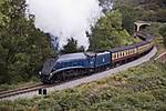 NYMR07A009