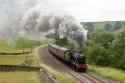 Waverley2