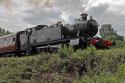 5199 At Cheddleton (cvr)