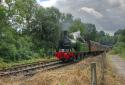 Lambton Tank No 29 At The Churnet Valley Railway