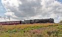 Oliver Cromwell At Chorlton, Nr Crewe
