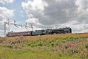 Oliver Cromwell At Chorlton, Nr Crewe
