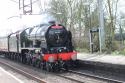 46100 Royal Scot