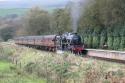 45321 The Sherwood Forester.