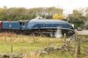 Sir Nigel Gresley