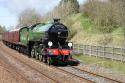 Lner B1 Class 4-6-0- 61306