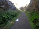 Cutting At Portpatrick.