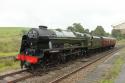 46115 Scots Guardsman