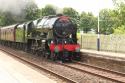 46115 Scots Guardsman