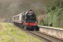 46100 Royal Scot
