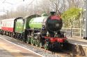 61306 Mayflower
