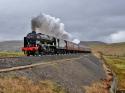 46115 Climbing Shap In The 60's?