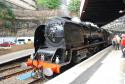 6233 Liverpool Lime Street