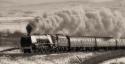 Royal Scot In Retro