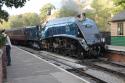 Sir Nigel Gresley A4 Lner Day Pickering