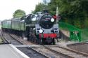 73906 At Ropley